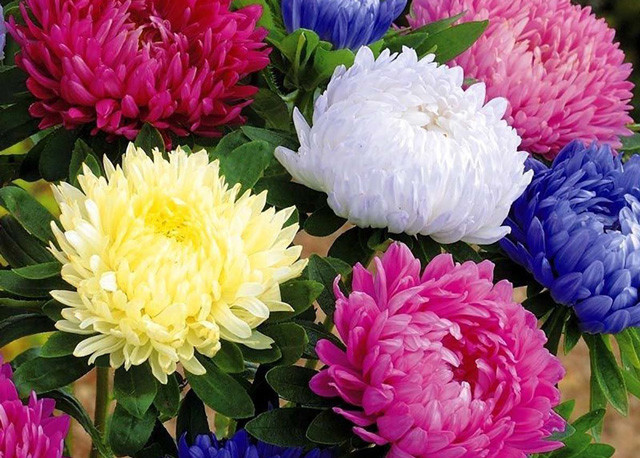 Cuoi thang 9, 3 con giap Than Tai goi ten, tien bac du da-Hinh-2