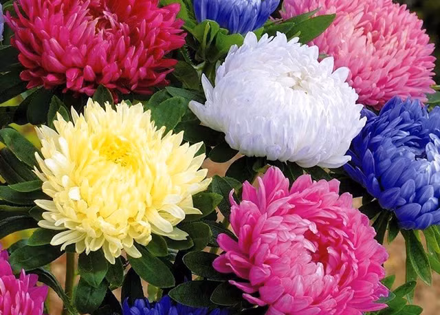 Cuoi thang 9, 3 con giap Than Tai goi ten, tien bac du da-Hinh-2