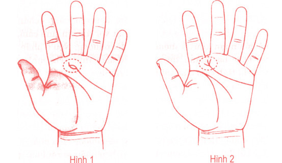 Công việc nặng nhọc nhưng vẫn có lòng bàn tay mềm. Đây là biểu hiện của số mệnh. Lúc còn trẻ, người phụ nữ mang tướng tay này gặp nhiều va vấp, trắc trở. Tuy nhiên sau khi kết hôn cuộc sống của họ sẽ dần ổn định. Người phụ nữ có tướng bàn tay này thường vượng phu ích tử, khéo vun vén cho gia đình và cũng được bố mẹ chồng yêu quý. 