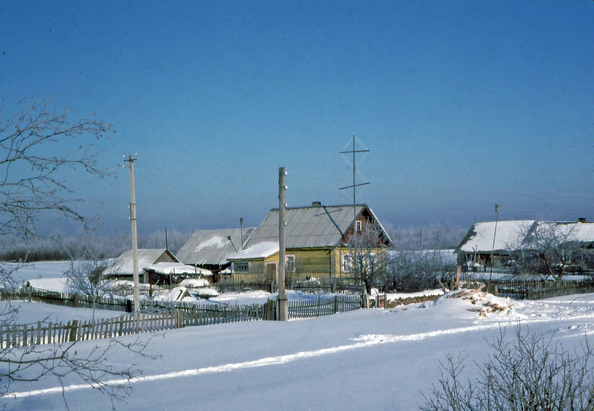 Khung cảnh mùa đông ở vùng quê giữa Leningrad và Novgorod.
