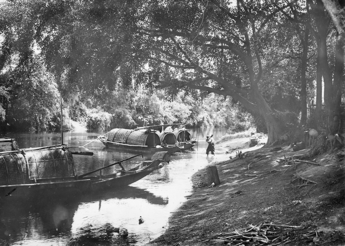 Những con thuyền neo đậu giữa bạt ngàn cây cối ở bờ sông An Cựu.