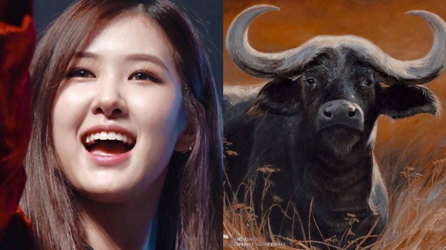 3 con giap nu “co phuc co duc mac suc ma an”, cang beo cang giau