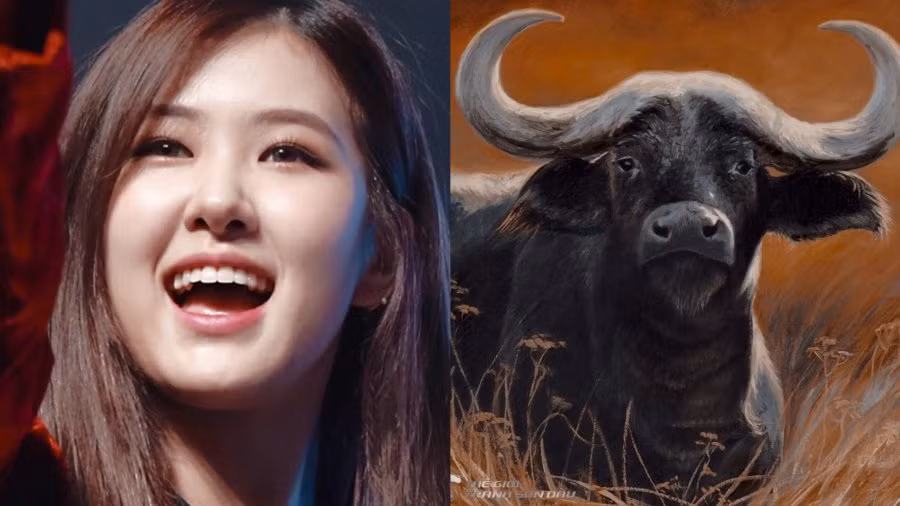 3 con giap nu “co phuc co duc mac suc ma an”, cang beo cang giau