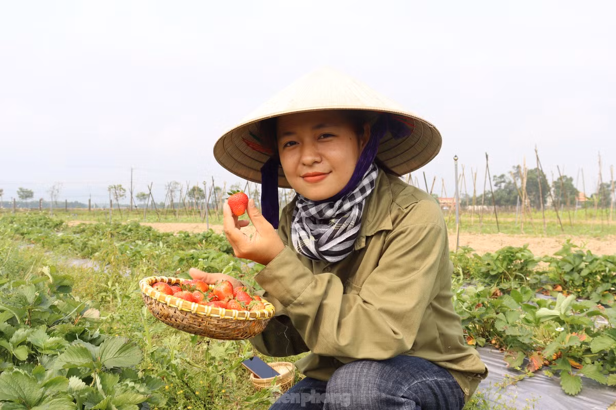 “Khi đến đây, tất cả chỉ là một bãi đất bỏ hoang, dân chỉ dùng để chăn trâu, thả bò. Ở đây mình chủ yếu trồng rau, củ, quả... ngoài ra còn xây dựng thêm quán cafe, các khu check in cho giới trẻ sống ảo và điểm nướng BBQ ngoài trời cho khách ghé thăm”, chị Hằng chia sẻ.