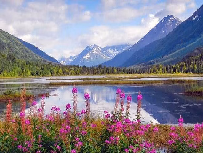 Sông Kenai là địa điểm lý tưởng để câu cá, chèo thuyền kayak. Là một trong những dòng sông đẹp nhất thế giới (Nguồn: Kiến thức)