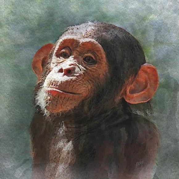 br/>Tuổi Thân. Theo tử vi, tuần mới này cuộc sống và sự nghiệp của tuổi Thân chuyển sang hướng mới tích cực hơn.