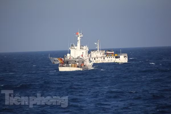 Khi tàu kiểm ngư Việt Nam có mặt thực thi nhiệm vụ, các tàu hải tuần, hải cảnh Trung Quốc sẵn sàng đâm trực diện, có thể gây chìm tàu.