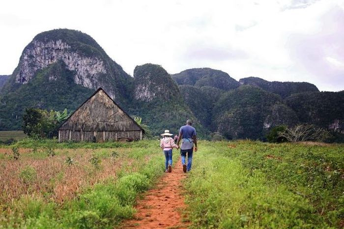 Trên những vách núi đá của thung lũng Vinales có những bức tranh đá mô tả lịch sử của loài người. Tác phẩm này được tạo nên bởi một nghệ sĩ tài hoa Leovigildo González Morillo, một cựu giám đốc Viện khoa học Cuba.