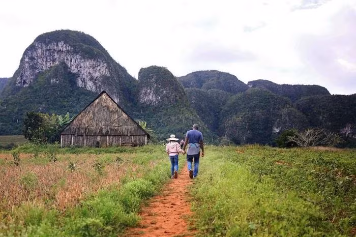 Trên những vách núi đá của thung lũng Vinales có những bức tranh đá mô tả lịch sử của loài người. Tác phẩm này được tạo nên bởi một nghệ sĩ tài hoa Leovigildo González Morillo, một cựu giám đốc Viện khoa học Cuba.