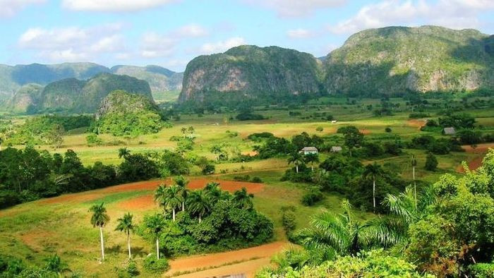 Vinales là thung lũng khá rộng và được bồi đắp lên bởi những di tích cổ của thời tiền sử - địa điểm lý tưởng để khám phá lịch sử của loài người, tìm hiểu về những nét văn hóa của người dân địa phương hay chỉ đơn giản là được check-in tại những đồi cỏ, đồi thuốc lá xanh tuyệt đẹp.