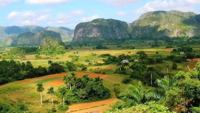 Vinales là thung lũng khá rộng và được bồi đắp lên bởi những di tích cổ của thời tiền sử - địa điểm lý tưởng để khám phá lịch sử của loài người, tìm hiểu về những nét văn hóa của người dân địa phương hay chỉ đơn giản là được check-in tại những đồi cỏ, đồi thuốc lá xanh tuyệt đẹp.