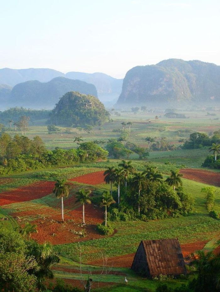 Thung lũng Vinales được bao quanh bởi nhiều dãy núi đá vôi, cả thung lũng được bao trùm trong sắc xanh tươi mát của rừng cọ và những rặng thuốc lá xanh biếc, xa xa là dãy núi Sierra de Vinales dựng đứng với bức tường đá phủ xanh.