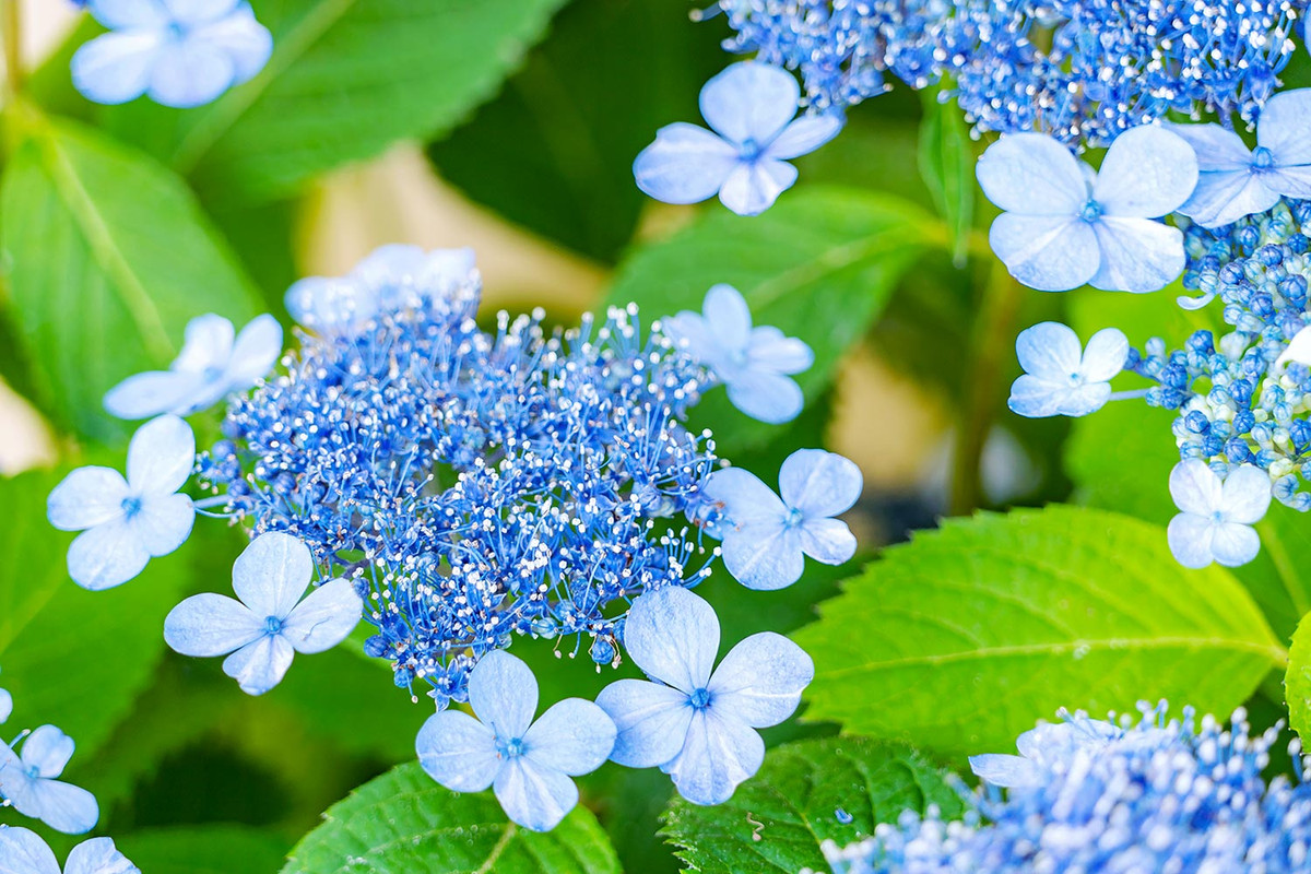 Người sinh ngày này nếu có chí tiến thủ, tiền tài dư dả Nguoi sinh ngay nay neu co chi tien thu, tien tai du da