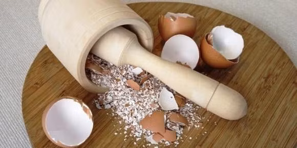 Nhung loai bot co san trong nha duoc xem nhu 