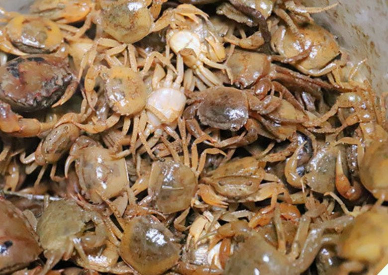 3 bi quyet nau canh cua ngon ngot, nhieu gach-Hinh-3