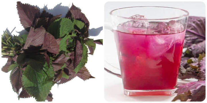 Nhiều công dụng từ loại rau thơm quen thuộc trong vườn - Hình 3 Nhieu cong dung tu loai rau thom quen thuoc trong vuon-Hinh-3