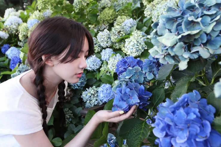 Các khán giả dành rất nhiều mỹ từ như "Cô tiên", "Mỹ nhân", "Nàng thơ" của thể dục Hàn Quốc, thậm chí nhiều người còn khuyên Kim Min đi đóng phim, bởi cô đẹp còn hơn nhiều diễn viên xứ Hàn.