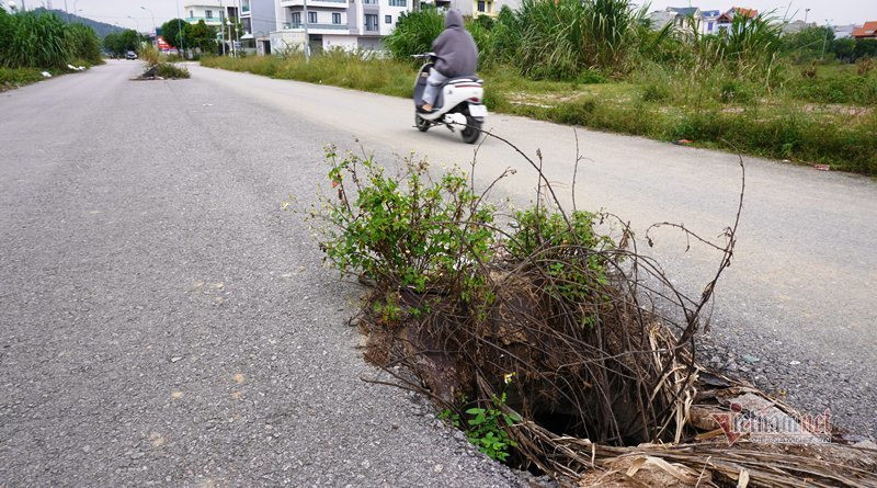 Hàng trăm hố ga, cống thoát nước không nắp giữa lòng TP Thanh Hóa ảnh 5