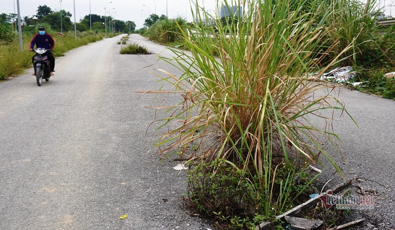 Hàng trăm hố ga, cống thoát nước không nắp giữa lòng TP Thanh Hóa ảnh 2