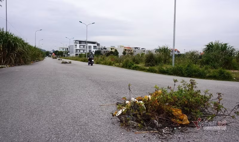 Hàng trăm hố ga, cống thoát nước không nắp giữa lòng TP Thanh Hóa ảnh 6