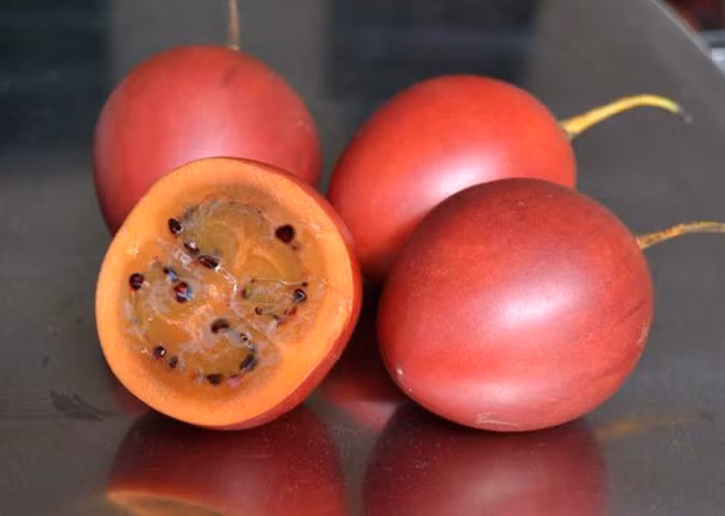 Cà chua Mỹ: Có nguồn gốc từ vùng nhiệt đới bên Nam Mỹ. Trái Tamarillo có vỏ màu đỏ tím, ăn chua hơn cà chua bình thường nhưng mùi rất thơm. Ở Việt Nam, giống cà chua kì lạ này đã từng có thời gây sốt.