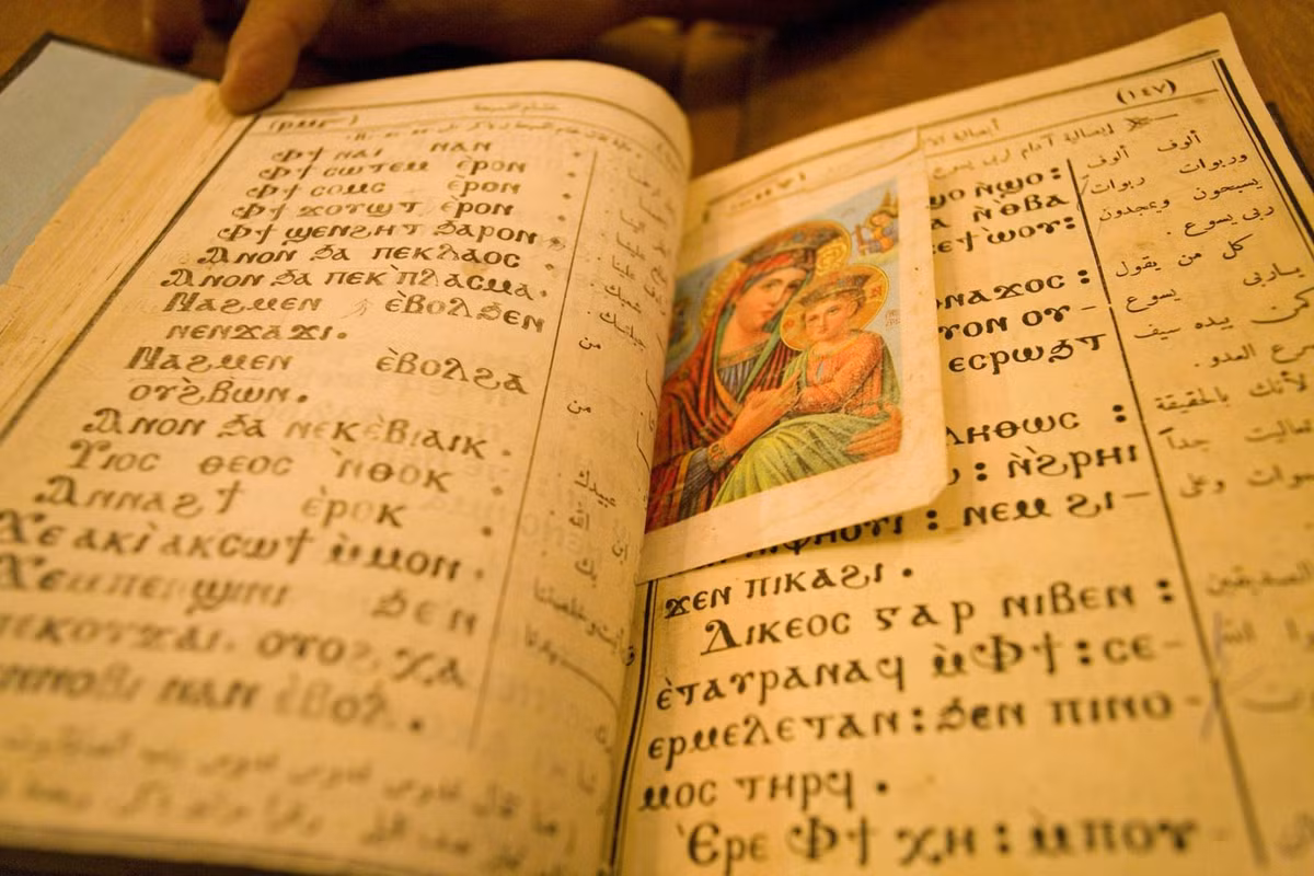 Sung sot 10 ngon ngu co nhat gay anh huong lon du da...chet-Hinh-8