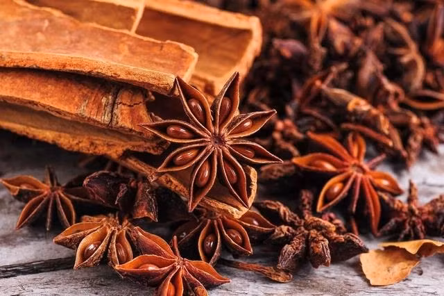 Nếu cây hồi được trồng và chăm sóc đúng kỹ thuật thì sẽ cho năng suất cao và ổn định, kéo dài thời gian thu hoạch lên tới 80 năm.