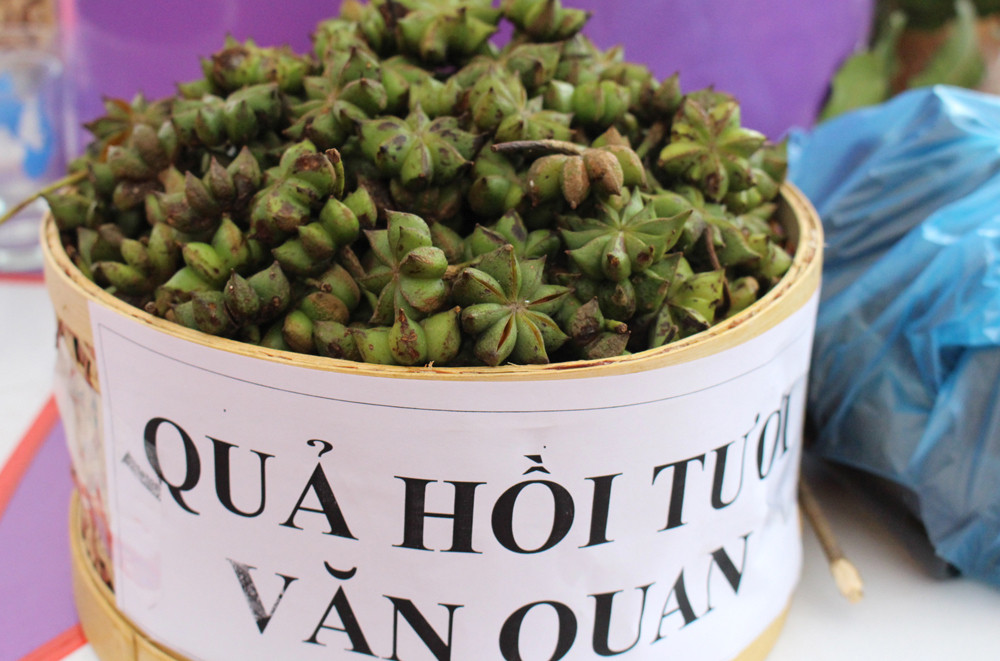 Trong đó, theo nhiều nhà khoa học, huyện Văn Quan, Lạng Sơn được coi là một trong những “cái nôi” trồng hoa hồi chất lượng bậc nhất thế giới.