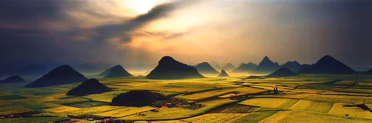 Biển hoa cải rực rỡ, bất tận tại Luoping, tỉnh Vân Nam.