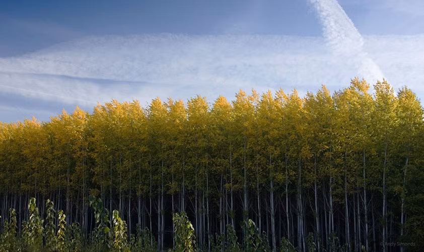 Các máy bơm lấy nước từ sông Columbia với tốc độ lên đến 442.893 lít/phút.