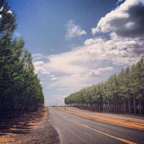 Trên thực tế, trang trại lắp đặt hệ thống tưới tiết kiệm nước - mô hình tưới nhỏ giọt lớn nhất nước Mỹ với khoảng 14.500 km đường ống.