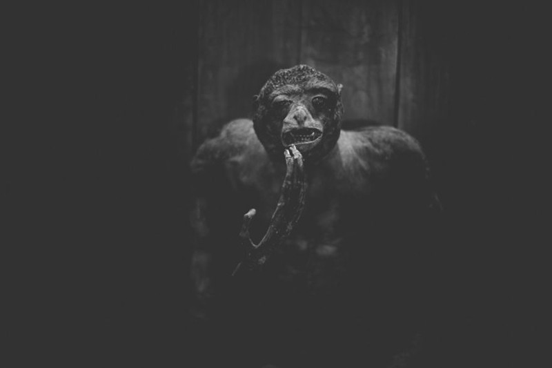 Sở thú có nhiều vai trò khác nhau, chẳng hạn như bảo vệ các loài động vật hoang dã đang có nguy cơ tuyệt chủng hay giúp chúng ta hiểu về tầm quan trọng của tự nhiên. Tuy nhiên, tại nhiều sở thú, các loài động vật bị giam cầm trong điều kiện tồi tàn và chết dần chết mòn vì thiếu tự do.