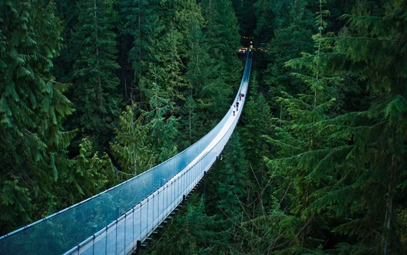 Cầu treo Capilano - Vancouver, British Columbia. Vancouver chắc chắn rất đẹp, nhưng nhiều người không thích đi qua những sườn núi dài, trên một cây cầu cách mặt đất 70m, lơ lửng phía trên một con sông.