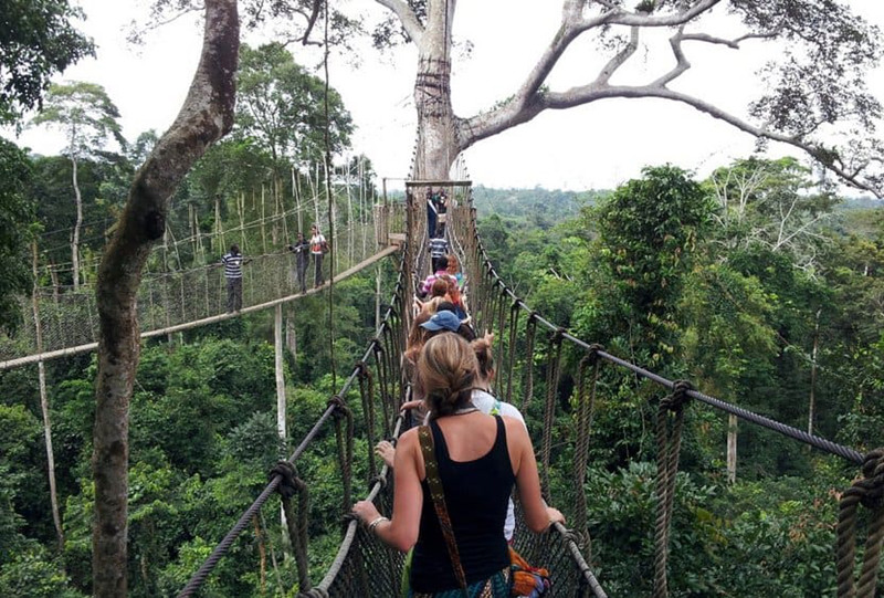 Cầu đi bộ Canopy - Ghana, là cây cầu kết nối các ngọn cây. Bạn không thể chắc chắn mình sẽ đi tới đâu khi băng qua cây cầu này.
