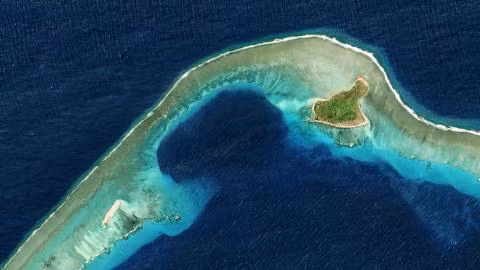 Rung ron hon dao co muc phong xa lon hon nhieu lan Chernobyl-Hinh-4