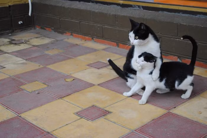 "Im ngay! Tớ sẽ cho cậu một trận nếu cậu kêu lên đấy!"