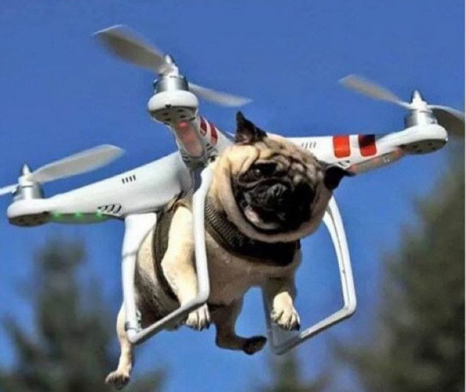 Chú chó siêu nhân bay trên bầu trời.