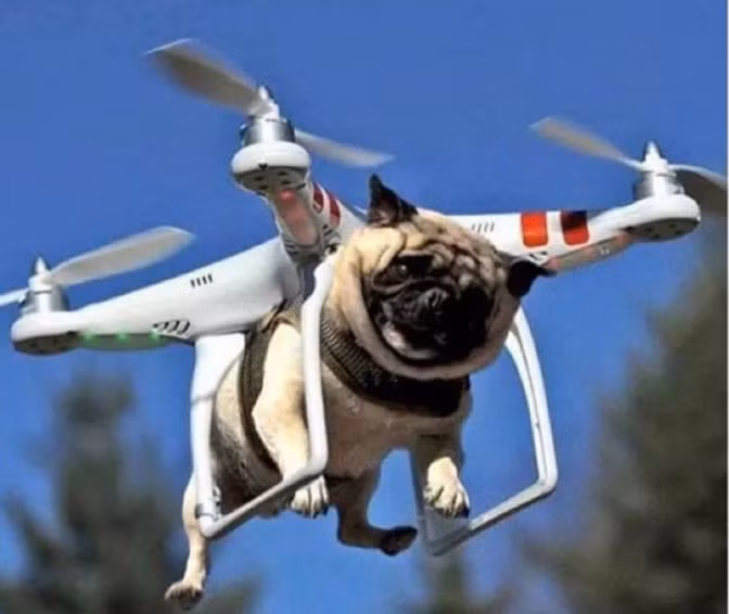 Chú chó siêu nhân bay trên bầu trời.