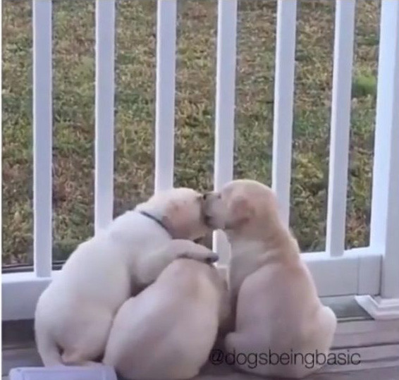 Cuộc sống an yên, đáng yêu biết bao.