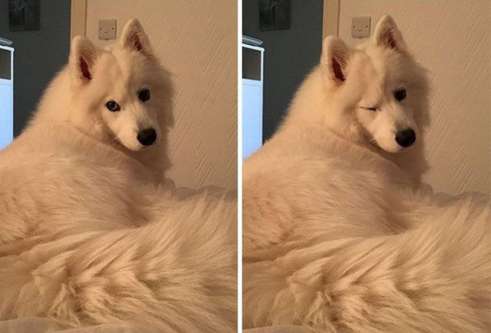 Thích thì vào đây tạo dáng với tớ nào?