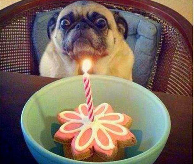 Ôi, mình lại già "khú" thêm rồi ư?