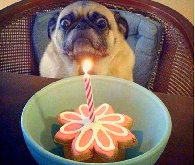 Ôi, mình lại già "khú" thêm rồi ư?