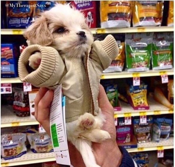 Cuộc sống mà, phải đối mặt thôi!