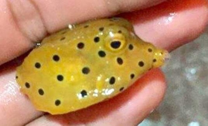  *Tin bài đã được Kiến Thức biên tập lại