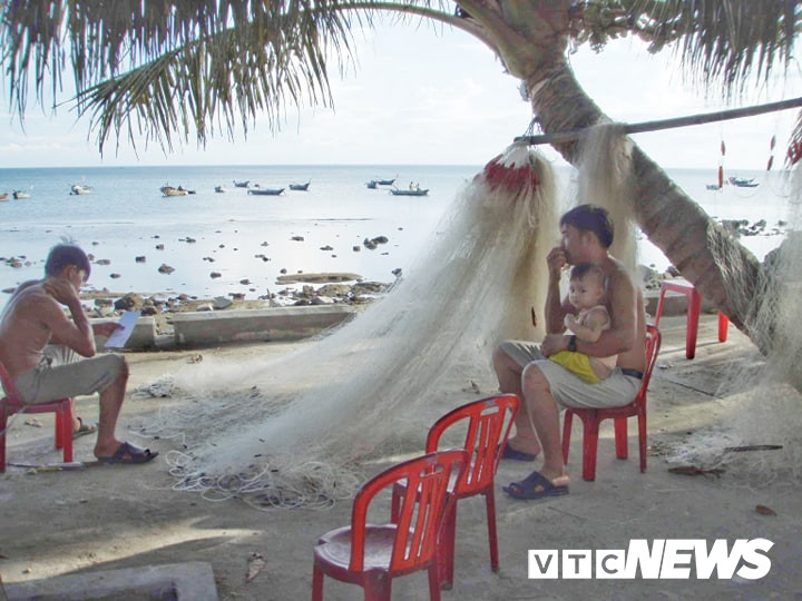 Su that ve nhung cuoc tan sat rua bien o Cu Lao Cham-Hinh-4