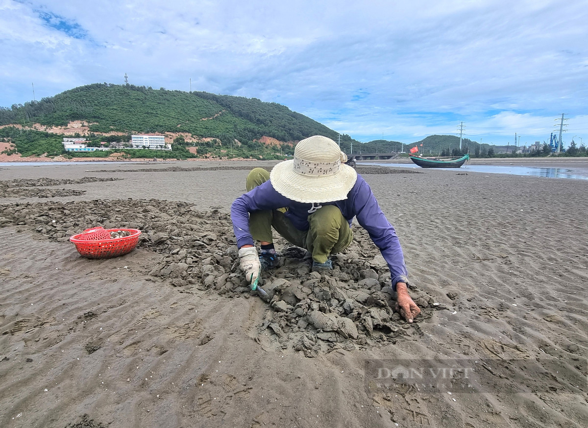Cao con ngao nhot, nguoi dan vung bien Thanh Hoa co ngay tien tuoi-Hinh-5