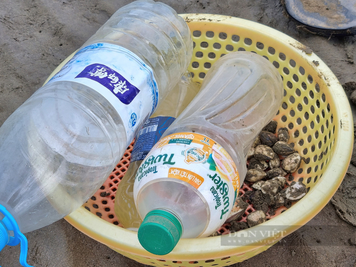 Cao con ngao nhot, nguoi dan vung bien Thanh Hoa co ngay tien tuoi-Hinh-6