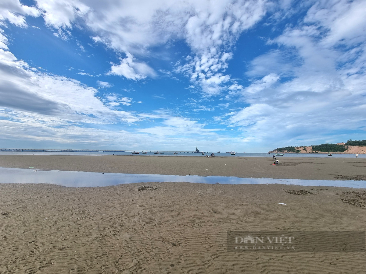 Cao con ngao nhot, nguoi dan vung bien Thanh Hoa co ngay tien tuoi-Hinh-4