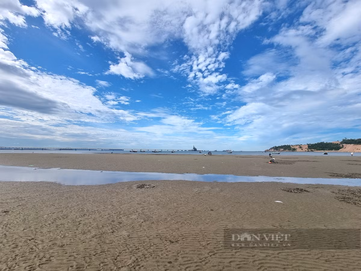 Cao con ngao nhot, nguoi dan vung bien Thanh Hoa co ngay tien tuoi-Hinh-4