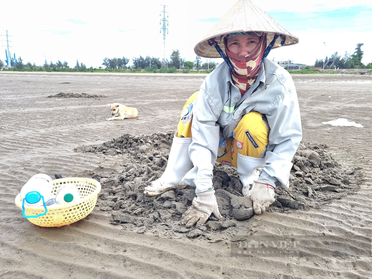 Cao con ngao nhot, nguoi dan vung bien Thanh Hoa co ngay tien tuoi-Hinh-8